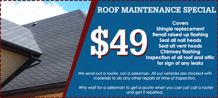 Roof Maintenance Special