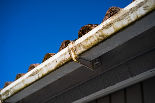 Gutter Repair Services That Protect Your Roof and Foundation