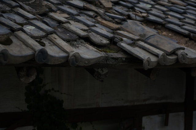 Protect Your Roof: How Debris Build-Up Leads to Expensive Damage